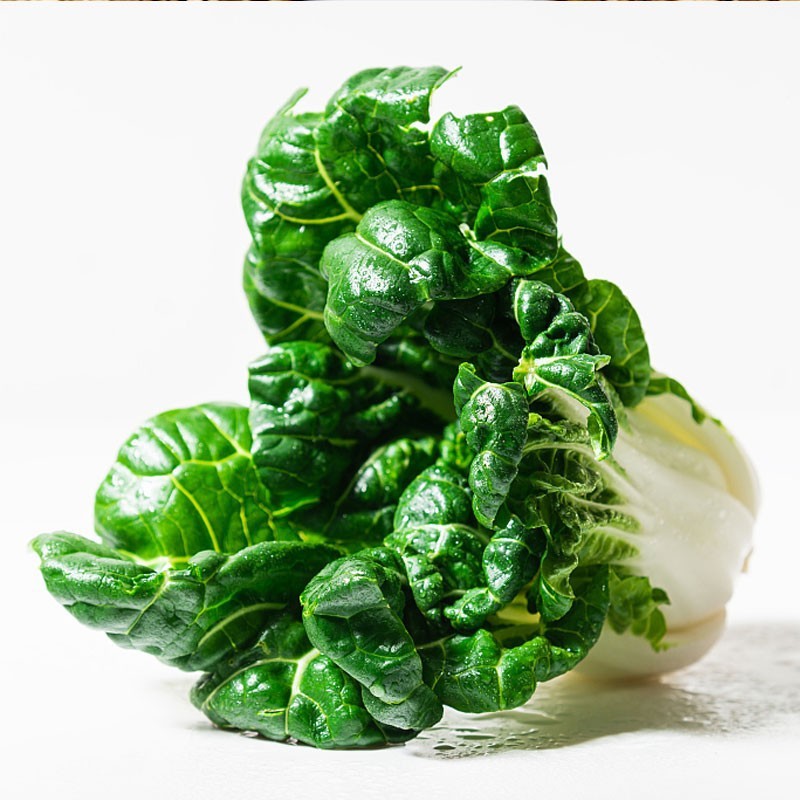 Fresh Dark-Leaf Pak Choy White Stem Pak Choy Green Vegetable