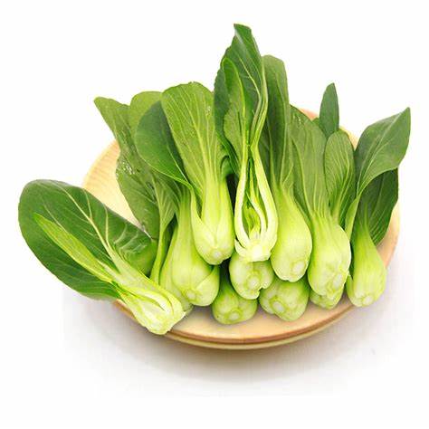 Fresh Bok Choy baby Shanghai Green Vegetable