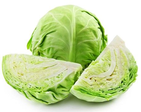 2023 High Quality New Crop Round Fresh Green Cabbage