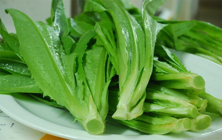 Green Vegetable Fresh Lettuce Leaf Lettuce