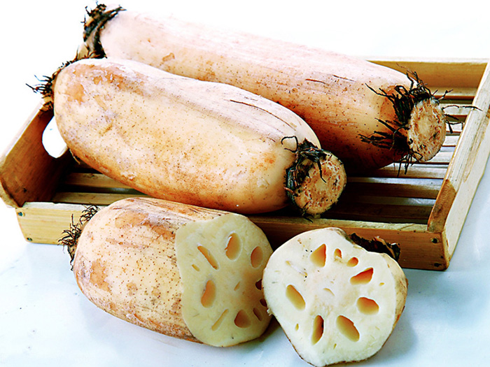 China Vacuum Packed Sweet Fresh Lotus Root