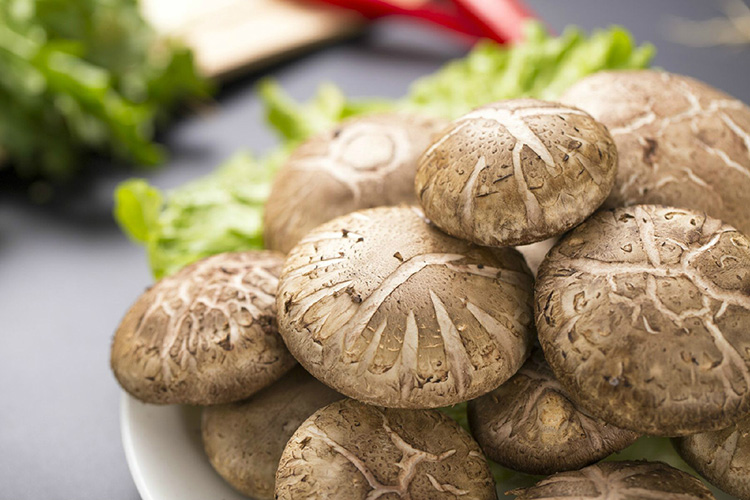 Exotic Chinese Factory Growing Fresh Shiitake Mushroom