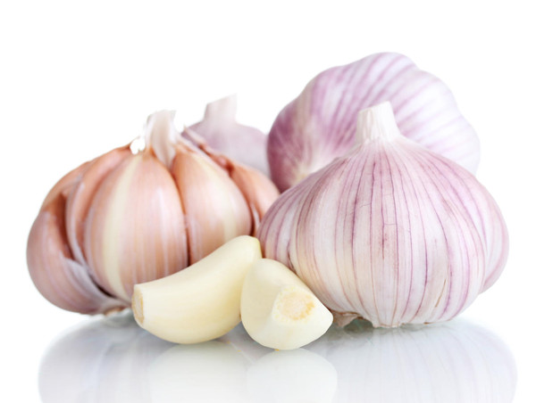 Garlic