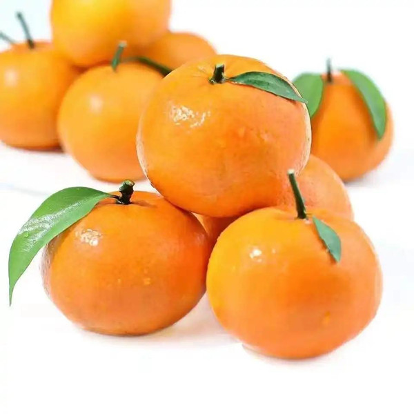 Fertile orange